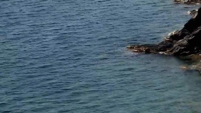 George Gershwin - Summertime