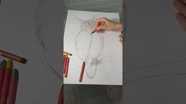 Филин восковыми мелками смотреть онлайн
