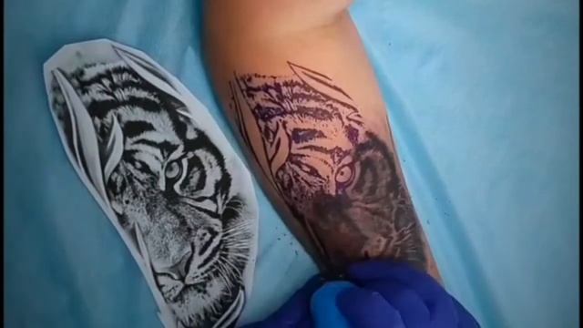 tiger tattoo| татуировка Тигр (Timelapse) смотреть онлайн