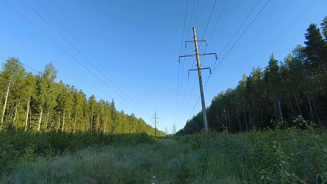 ЛЭП. ч.1. Июнь 2024 смотреть онлайн