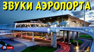 ЗВУКИ АЭРОПОРТА