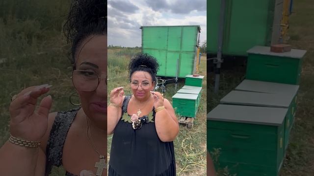 СЕГОДНЯ МЕНЯ УЖАЛИЛИ ПЧЁЛЫ!? ОТКРЫВАЮ УЛИК. ПАСЕКА. ПЧЁЛЫ. ИСТОРИЯ ПРО ПЧЁЛ И МОЕГО СЫНА. смотреть онлайн