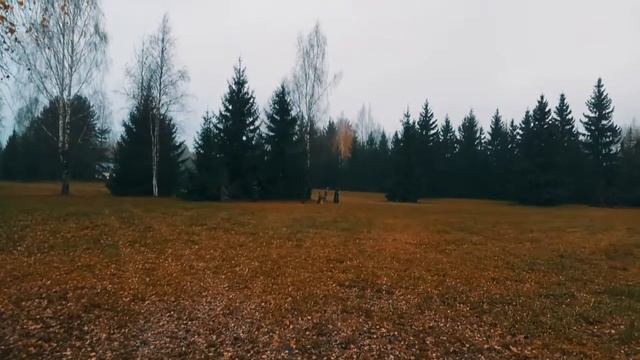 ЗДРАВНЕВО. МУЗЕЙ-УСАДЬБА РЕПИНА. смотреть онлайн
