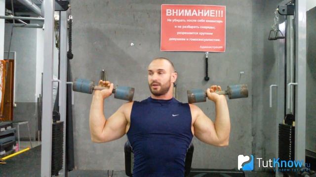 Жим гантелей сидя: техника упражнения и советы смотреть онлайн