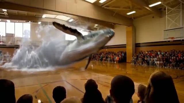 Уникальная технология poli 3d. смотреть онлайн