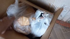 Приехали на вахту в Билибино #видео #вахта #чукотка #север #на работу #колыма #лето2023 #топчик #ре