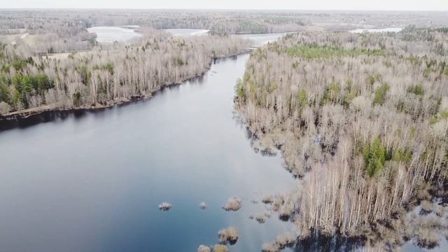 Поддуюское озеро Лужского р-на Ленинградской области. смотреть онлайн