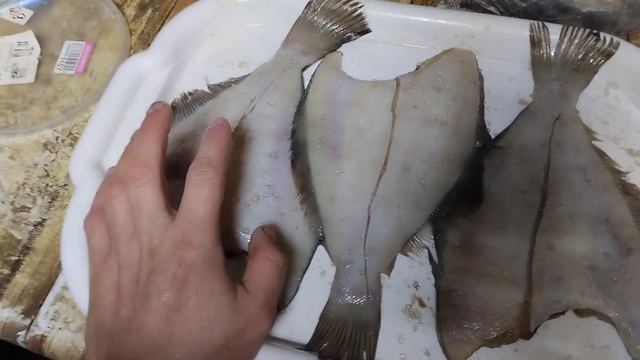 Вдохновение на Тарелке