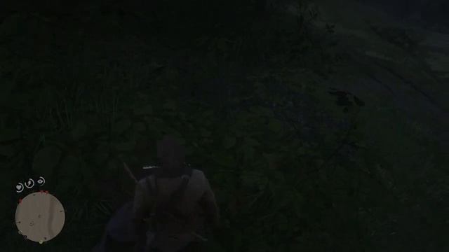 Admiring The HDR: RDR 2 Native 4K RTX 4090