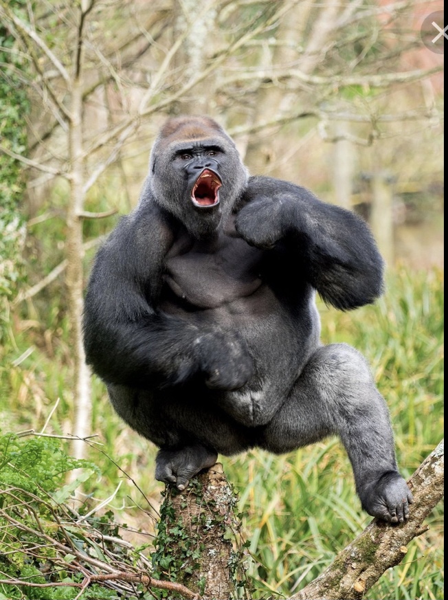 2022-06-10 лучшие приколы смотреть онлайн