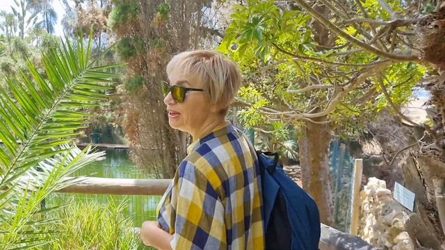 Мадейра 16. Бразильские попугаи на Порту-Санту смотреть онлайн