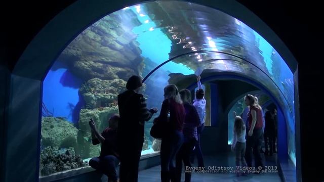 Москвариум и Песня про Рыб смотреть онлайн