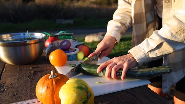 We cooked a Full Course Thanksgiving Dinner in Our Van | Van Life Holidays смотреть онлайн