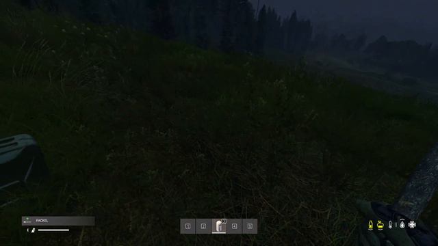 TIPPS DIE KAUM EINER KENNT - DayZ Standalone | Quotenrusse| 2023| 1.23 смотреть онлайн