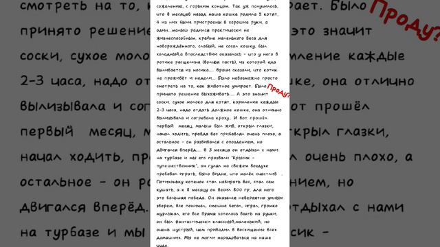 проду на 15 лайков ❤ #история #грусть #котики #кот #котенок #боль смотреть онлайн