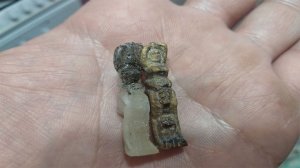 № 65 Сборка модели корабля черная жемчужина. Отливаем фигуры под мансарду.