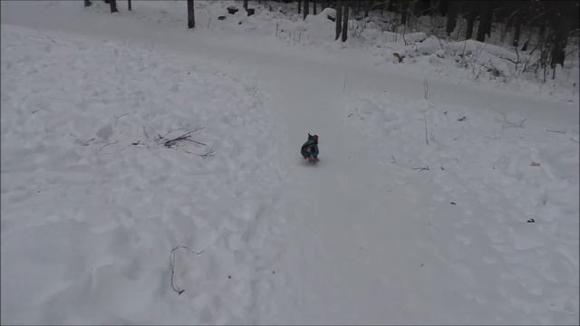 Моцарт смотреть онлайн
