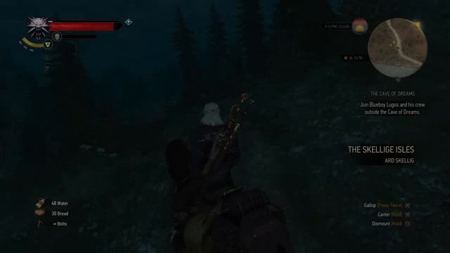The Witcher 3 after patch v1.05 PS4 смотреть онлайн
