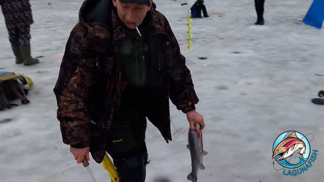 ПРиО Лагуна 03.01.2018 смотреть онлайн