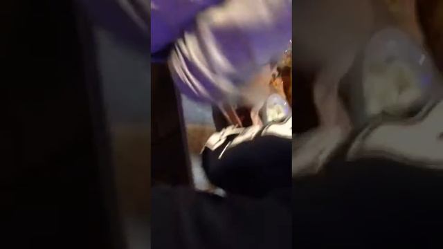 Реанимация поросенка в новогоднюю ночь смотреть онлайн