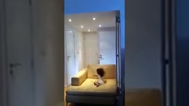 Клеачка прыгает на диване смотреть онлайн