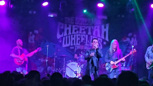 Gypsy Lullaby - Screamin' Cheetah Wheelies - 2023 Madrid смотреть онлайн