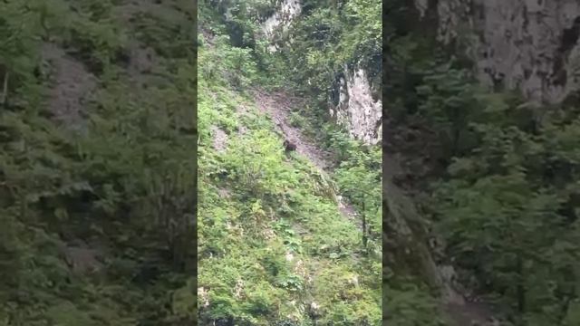 Экскурсия Квадроциклы в Сочи смотреть онлайн