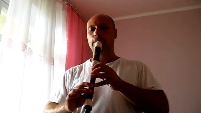 Мохнатый Шмель Блокфлейта YRA 312 B смотреть онлайн