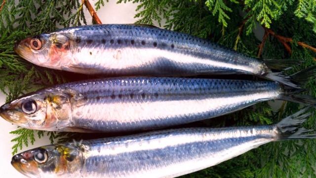 СЕЛЕДКА ПОЛЬЗА И ВРЕД | икра сельди польза, молоки сельди польза, польза селедки с луком смотреть онлайн