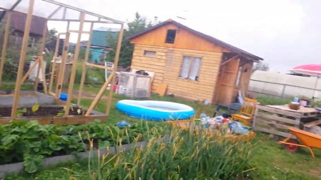 парник из стрейч пленки своими руками . смотреть онлайн