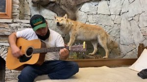 Ислам Идигов «алахьа Х1у боху те хьан даго»сл.муз.Байсангур Дербишев