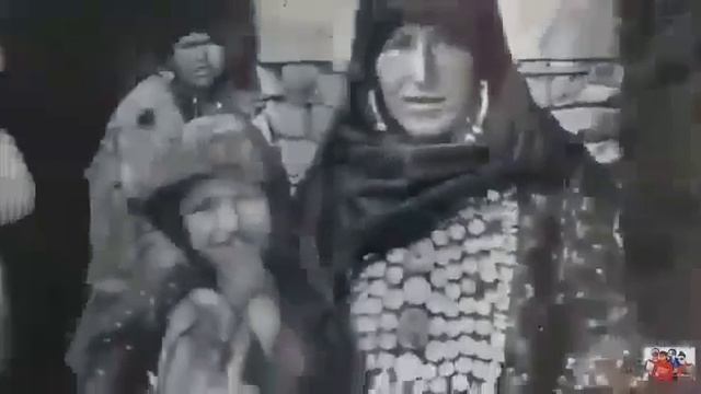 VID-20240608-WA0005.mp4 смотреть онлайн