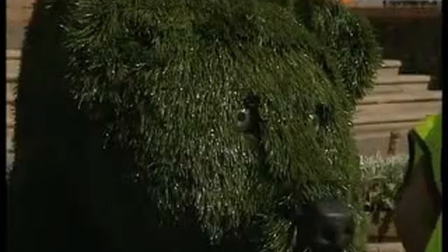 Озеленение