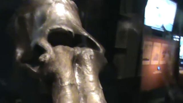 Colombian Mammoth-Gigantic!