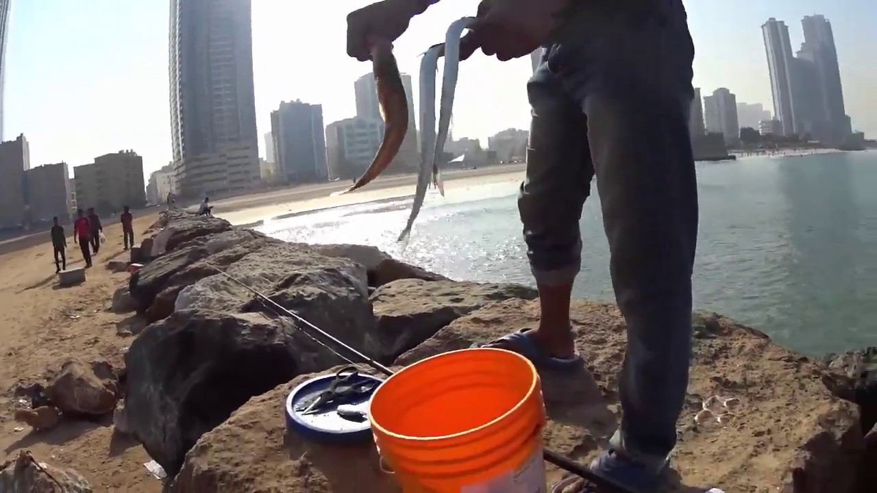 Рыбалка в Персидском Заливе в Арабских Эмиратах (ОАЭ) смотреть онлайн