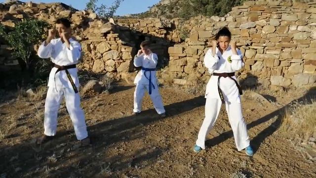КИХОН РЕНШУ. Нагаши Укэ Уракен Шита Учи смотреть онлайн