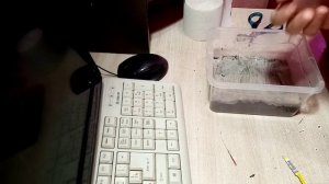 Сею на Рассаду Многолетний Цветок ГВОЗДИКА перистая сорта "БАЛЕРИНА МАХРОВАЯ"  Смесь сортов  13.1.2