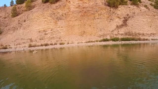 История про дикую Утку с поврежденным крылом смотреть онлайн