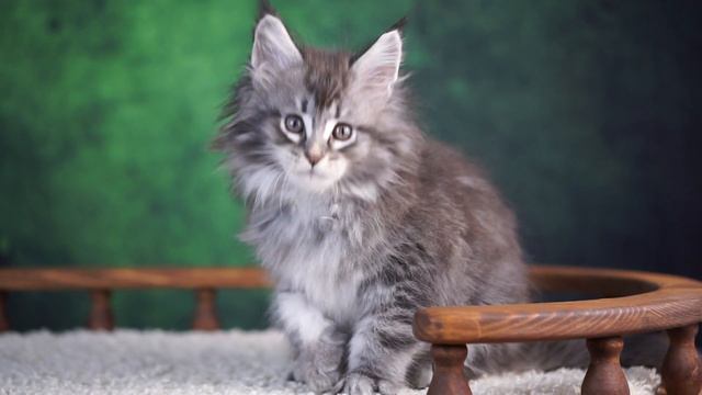 Iriska смотреть онлайн