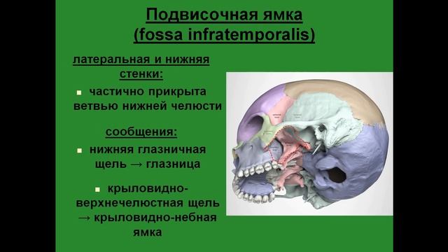 Подвисочная ямка