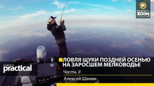 Ловля щуки воблерами поздней осенью на заросшем мелководье. Алексей Шанин. Часть 2