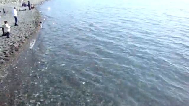 Черное море во второй половине дня смотреть онлайн