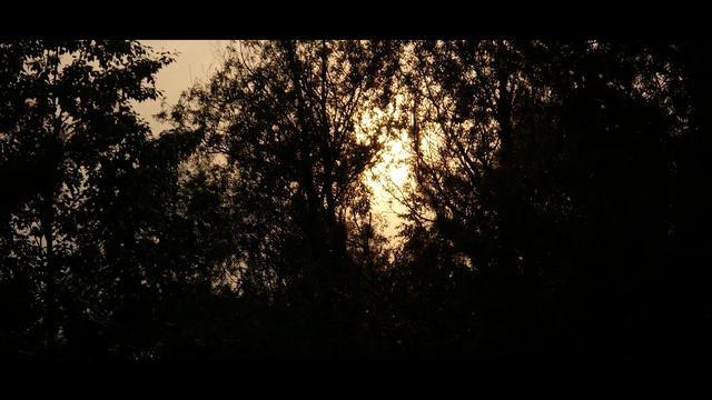 (Glichery - Sea Of Problems) Panasonic lumix gh4 test смотреть онлайн
