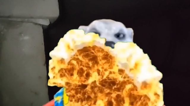 ПОЧЕМУ БЕЛЫЙ МЕДВЕДЬ ТЕРПИЛА? смотреть онлайн