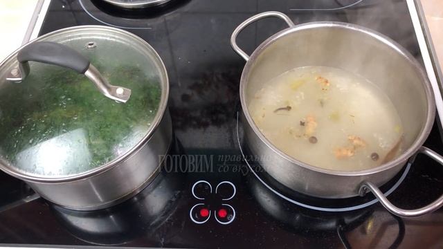 Путешествие с Дикой Природой