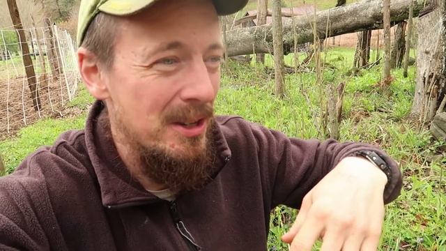 Put Pigs And Chickens TOGETHER, What Happens? смотреть онлайн