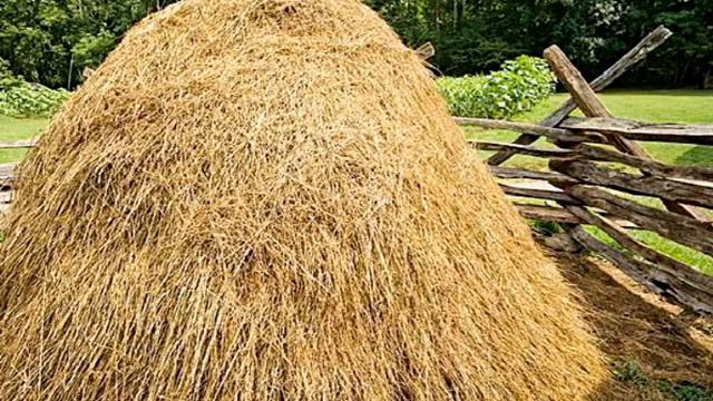 Тандем " Вдохновение" - " Деревенька Моя" -- г.Ярцево смотреть онлайн