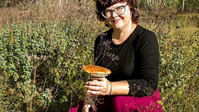 Юрга. Поломошное. Друзья, прогулка и грибы...