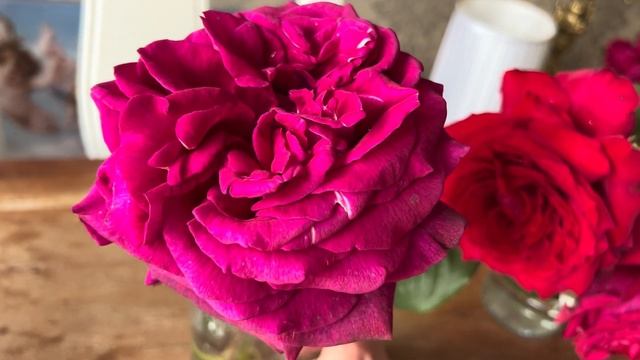 Red Rose Review - Florentina - Jubilee Papa Meilland - Royal Parfuma смотреть онлайн
