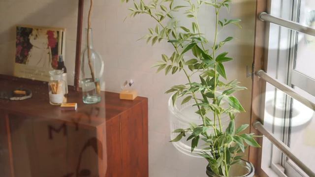 パンとコーヒーから始まる朝。築50年賃貸で過ごす楽しい一人暮らし。 смотреть онлайн